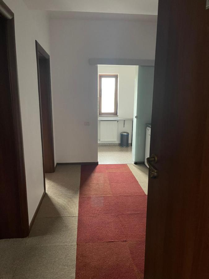 Vila Cu Trandafiri Cozy Apartments 2 Camere Bragadiru Extérieur photo
